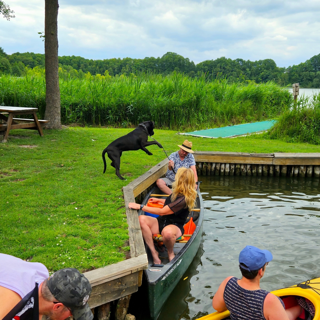 Zu sehen sind mehrere Personen im Kajak am Seeufer. Auf der Wiese ist ein schwarzer Hund zu erkennen.