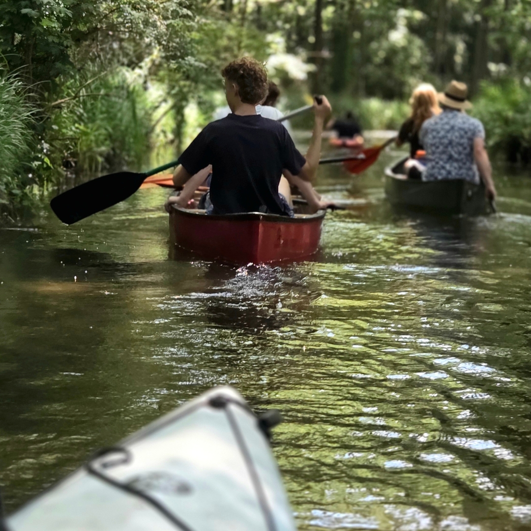 Zu sehen sind mehrere Personen, die mit Kajaks über einen See fahren.