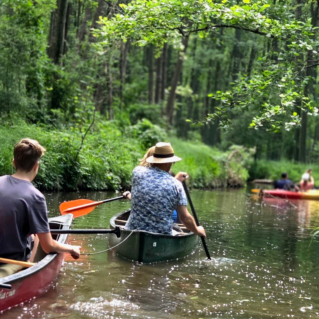Zu sehen sind mehrere Personen, die mit Kajaks über einen See fahren.