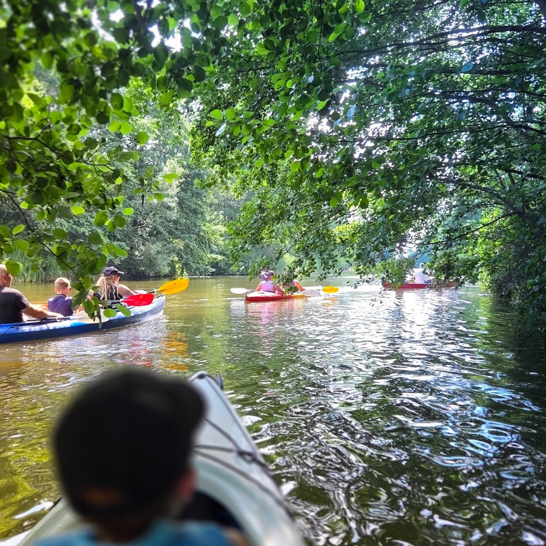 Mehrere Personen fahren mit Kajaks über den See.