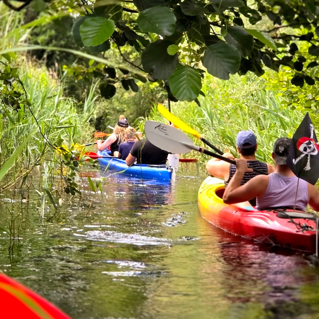 Zu sehen sind mehrere Personen, die mit Kajaks über einen See fahren.