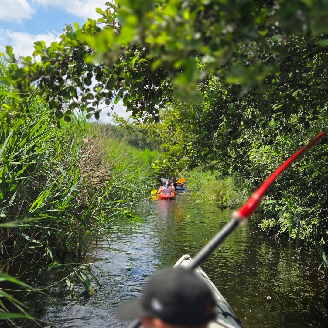 Zu sehen ist ein Fluss, dessen Ufer beidseitig von Gräsern und Büschen gesäumt sind.