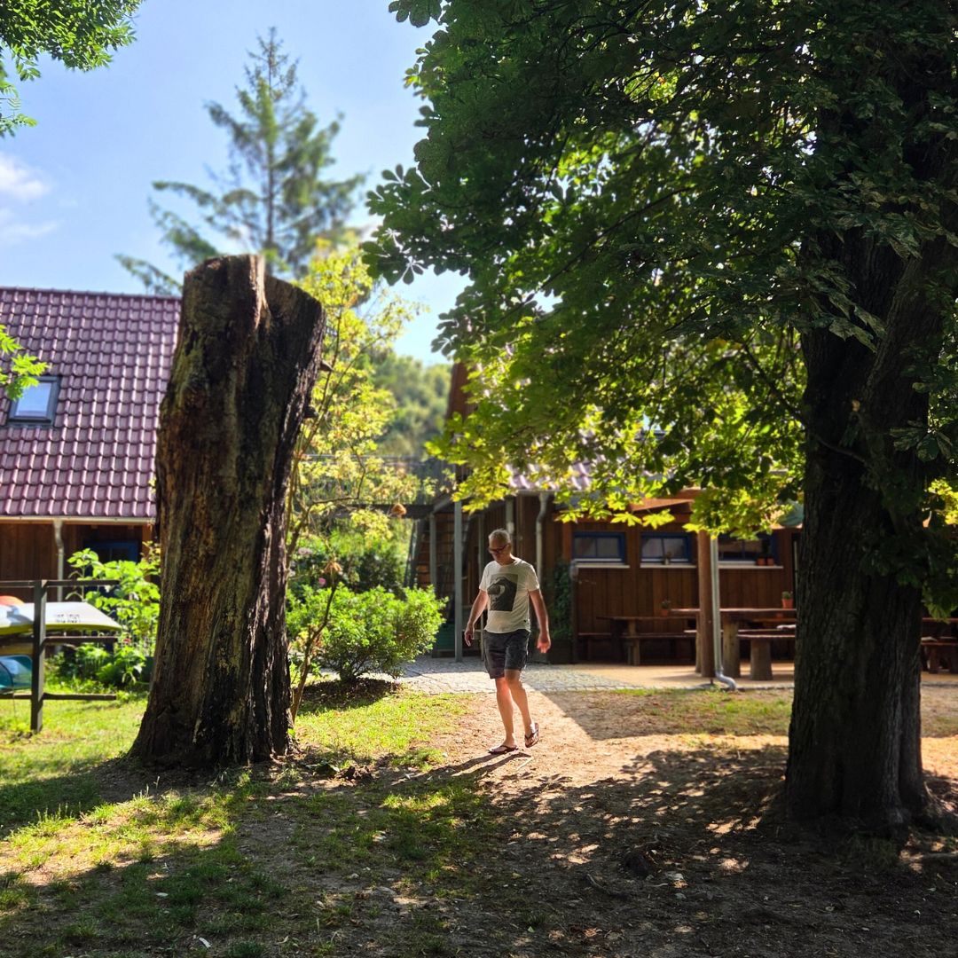 Abgebildet ist ein Parkabschnitt, in dem eine Person zwischen zwei Bäumen hindurchgeht.