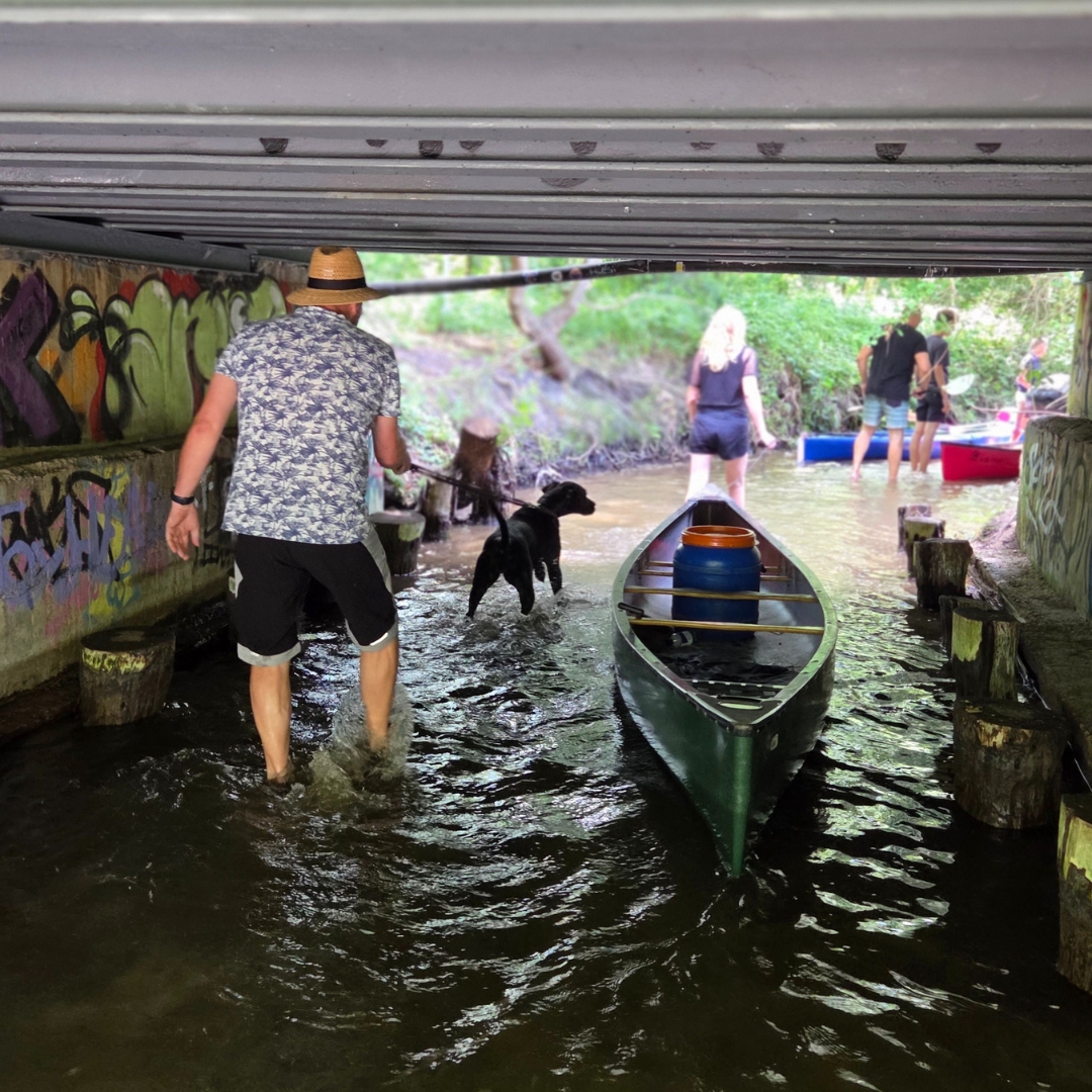 Zu sehen sind mehrere Personen, die mit Kajaks über einen See fahren.