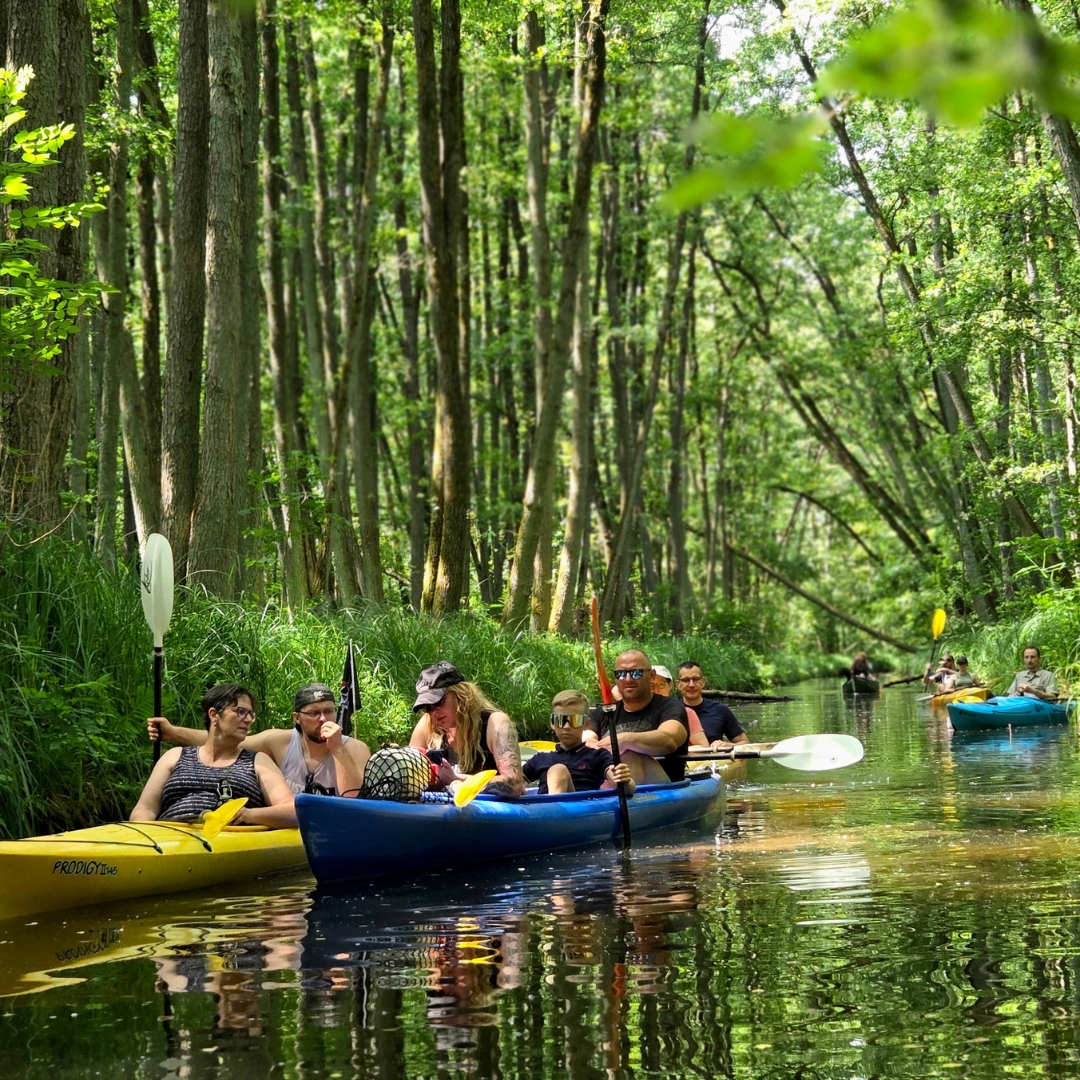 Zu sehen sind mehrere Personen, die mit Kajaks über einen See fahren.